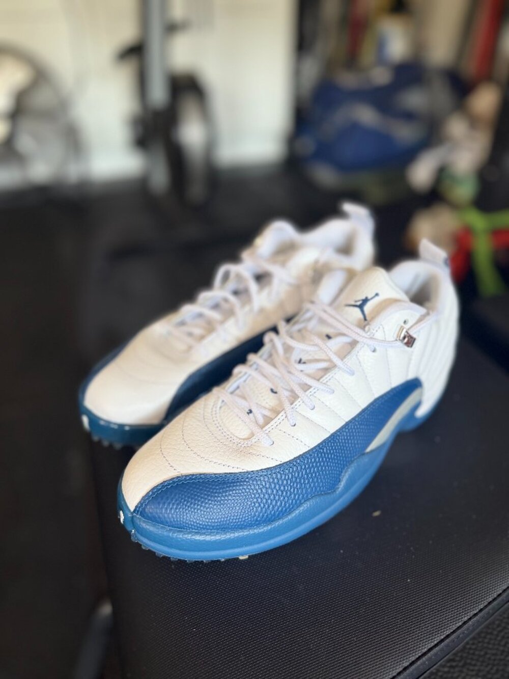 Nike Air Jordan 12 XII low golf shoes